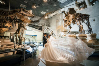 Sereno by Studio Blue_アドバイス写真