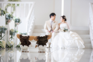 華雅苑[KAGAEN]つくば店_アドバイス写真