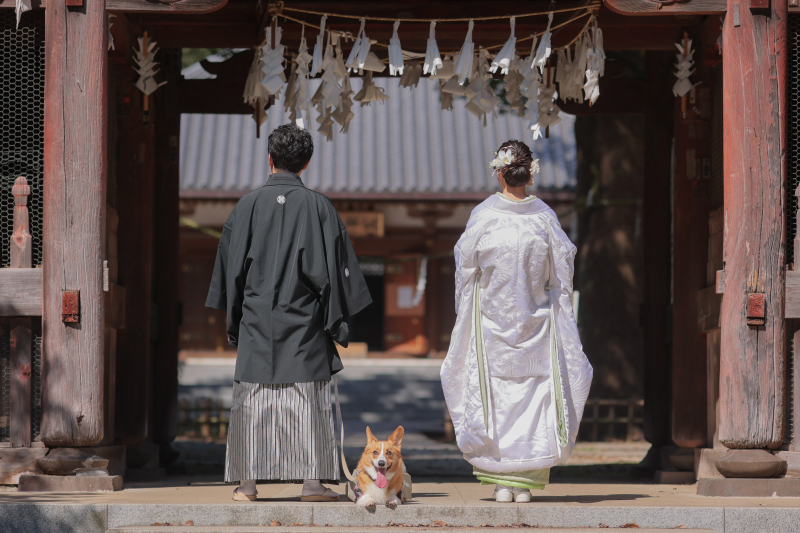 シンプルな料金体系で自由度が高い撮影が可能◎_30181_投稿写真_1