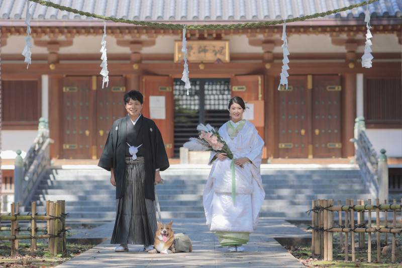 シンプルな料金体系で自由度が高い撮影が可能◎_30181_投稿写真_2