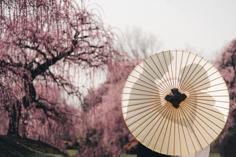 ロケーション撮影おすすめです。丁寧に楽しく撮影してくれます。_30214_投稿写真_3