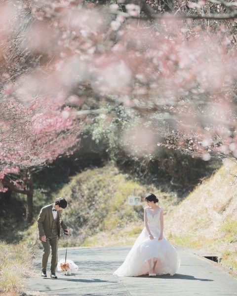 STUDIO AQUA 横浜みなとみらい店（スタジオAQUA）_投稿写真