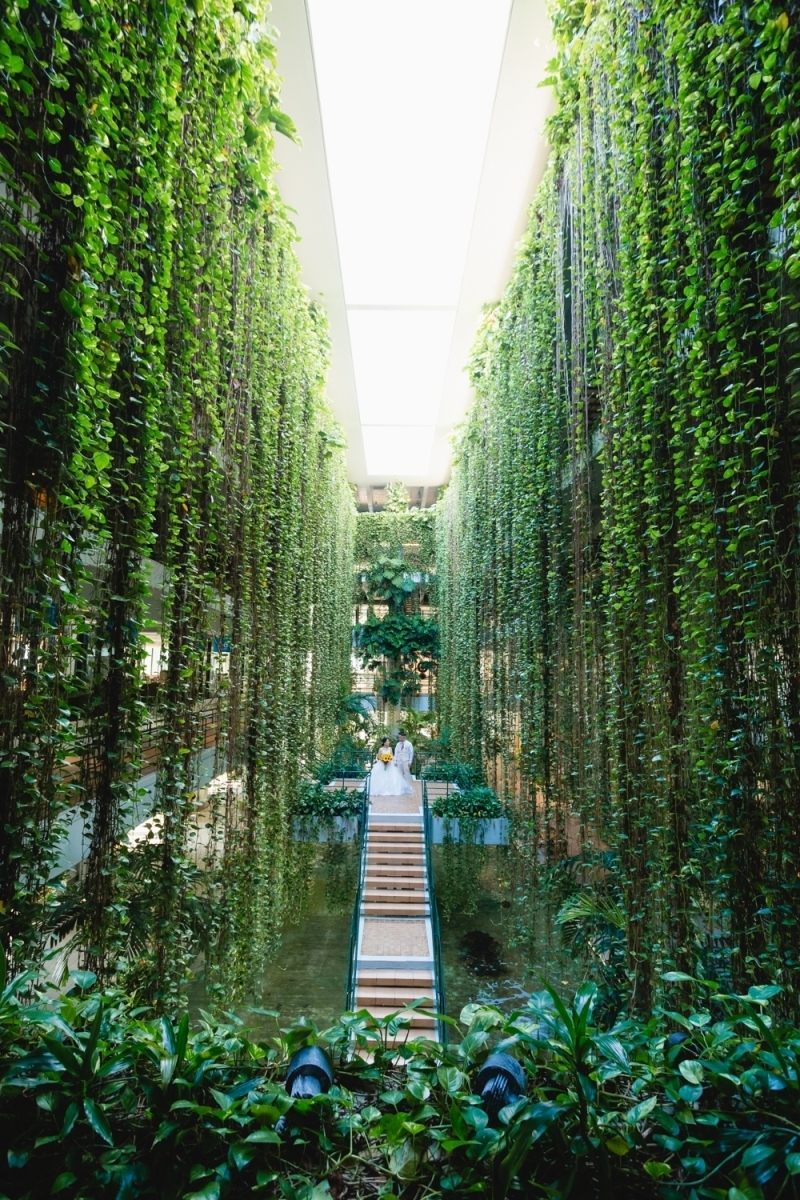 琉球エンターテイメント(琉球ウェディング・studioCASA)_投稿写真