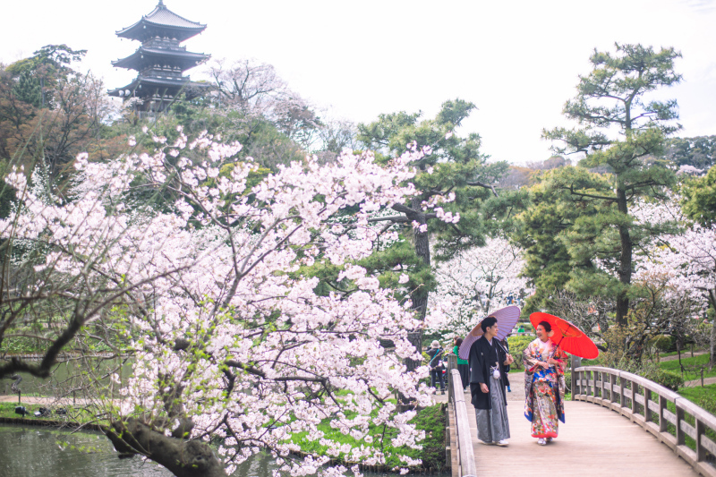 Photo Jellish　横浜（フォトジェリッシュ横浜）_投稿写真