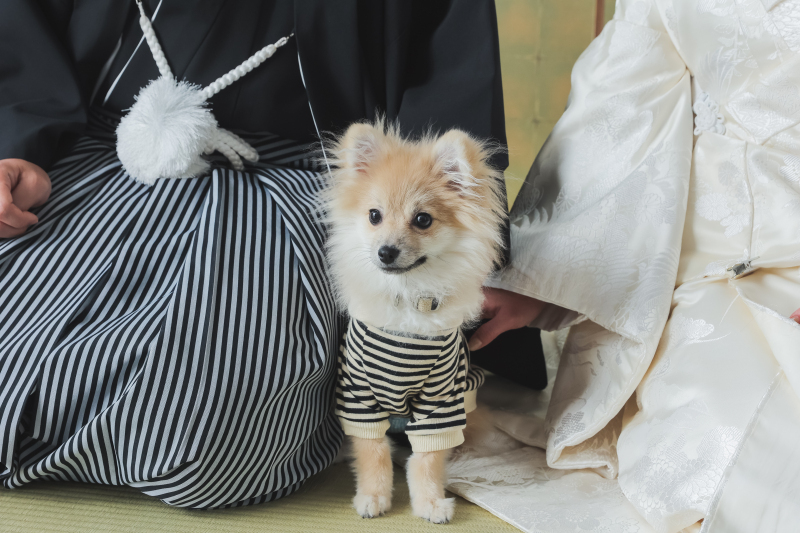 STUDIO TVB 梅田店（スタジオTVB）_投稿写真