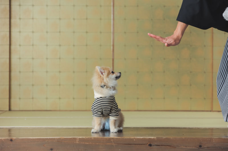 STUDIO TVB 梅田店（スタジオTVB）_投稿写真