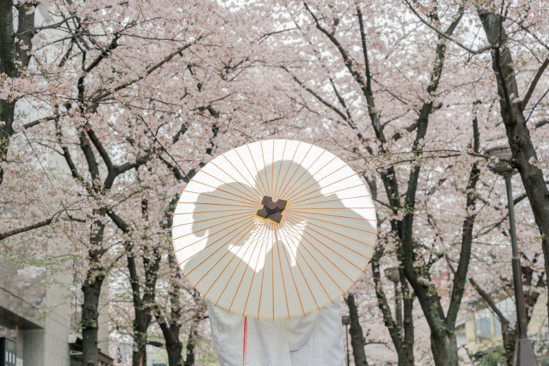 理想通りの撮影をしていただきました。_30799_投稿写真_3