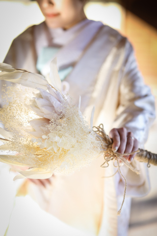 Vivid_アドバイス写真