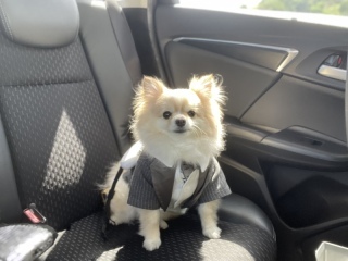 photo studio ouchi_アドバイス写真