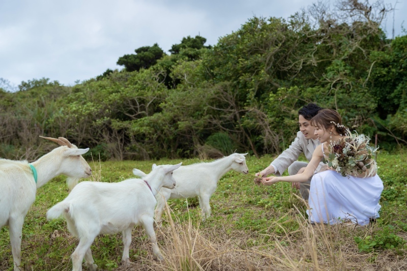 MOYA wedding _投稿写真