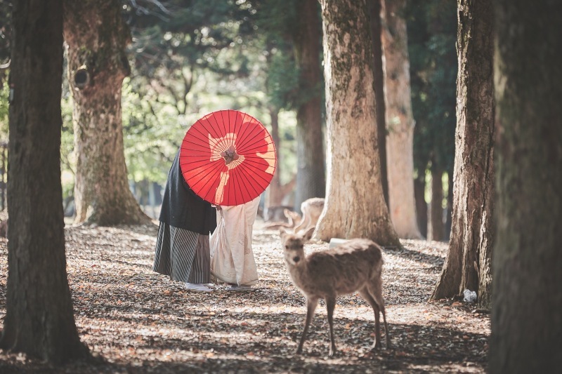 はなよめフォトウエディング奈良_投稿写真
