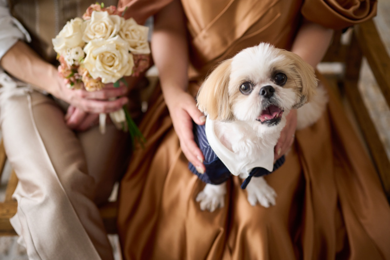 犬と一緒にナチュラルなウェディングフォトができる！_37306_投稿写真_2
