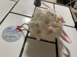 an'a days アンナデイズ_アドバイス写真