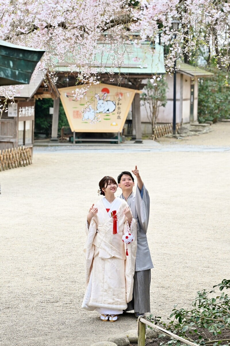 アドバンス ウェディング_投稿写真