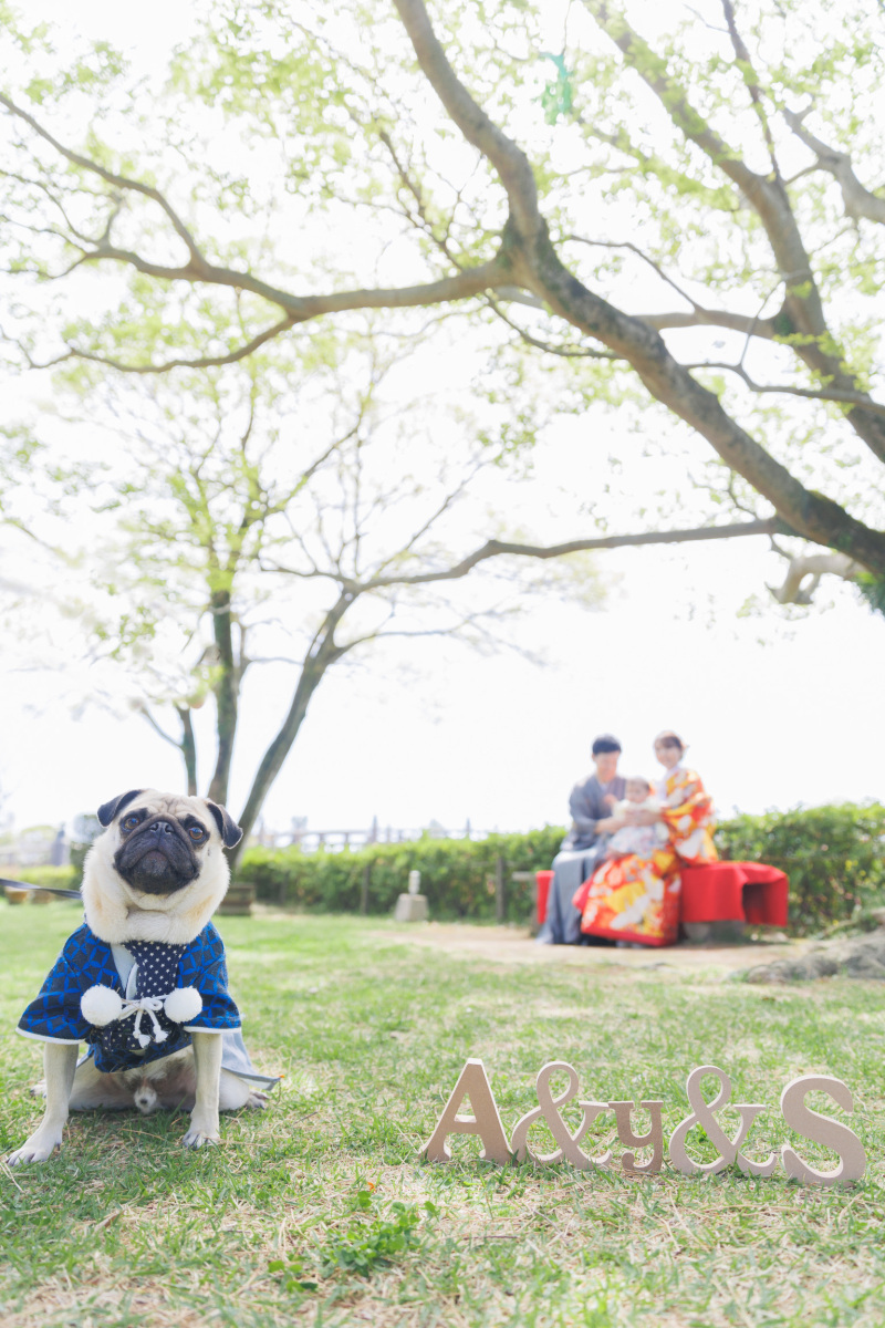 カンマチスタジオ_投稿写真