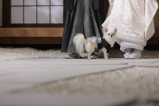 STUDIO AQUA 浅草店（スタジオAQUA）_アドバイス写真