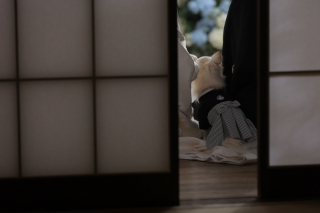 STUDIO AQUA 浅草店（スタジオAQUA）_アドバイス写真