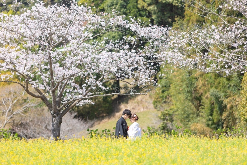 地元の綺麗なスポットでお洒落な撮影が出来ます♡_31387_投稿写真_1