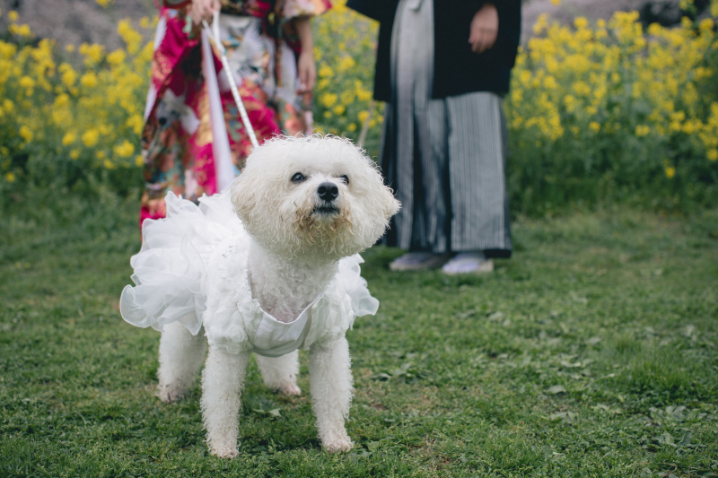STUDIO AQUA 立川店（スタジオAQUA）_投稿写真