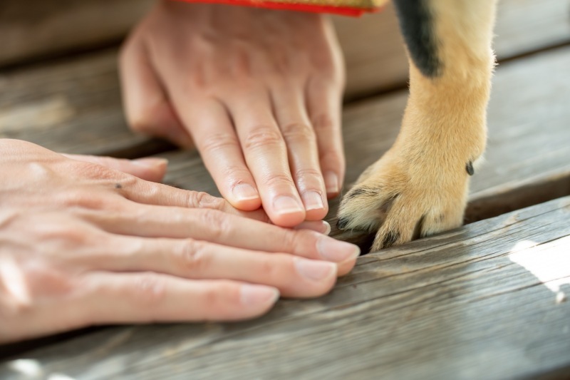 華雅苑[KAGAEN]つくば店_投稿写真