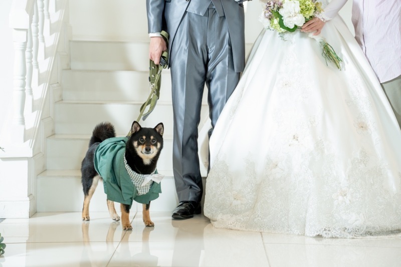 華雅苑[KAGAEN]つくば店_投稿写真