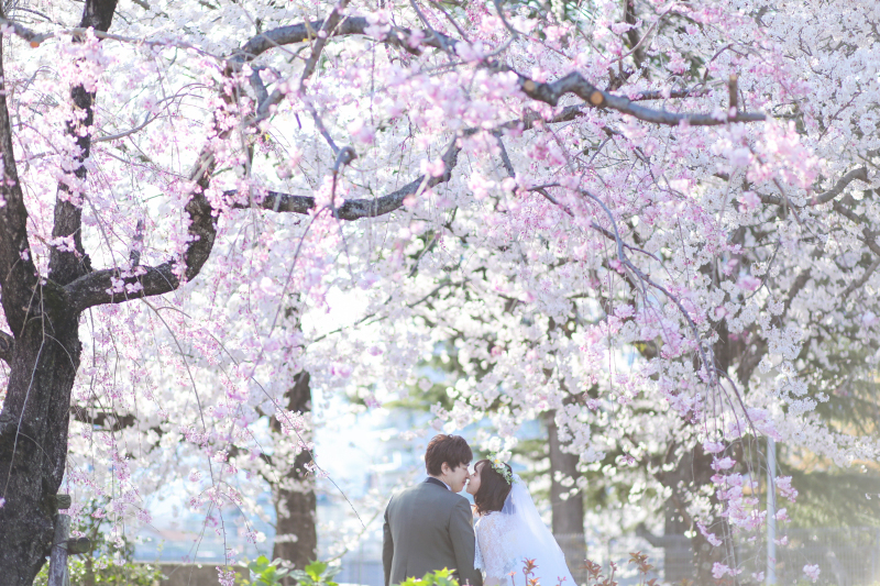 楽しいが詰まった撮影_31664_投稿写真_3