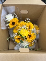 studio LUMINOUS 大阪_アドバイス写真