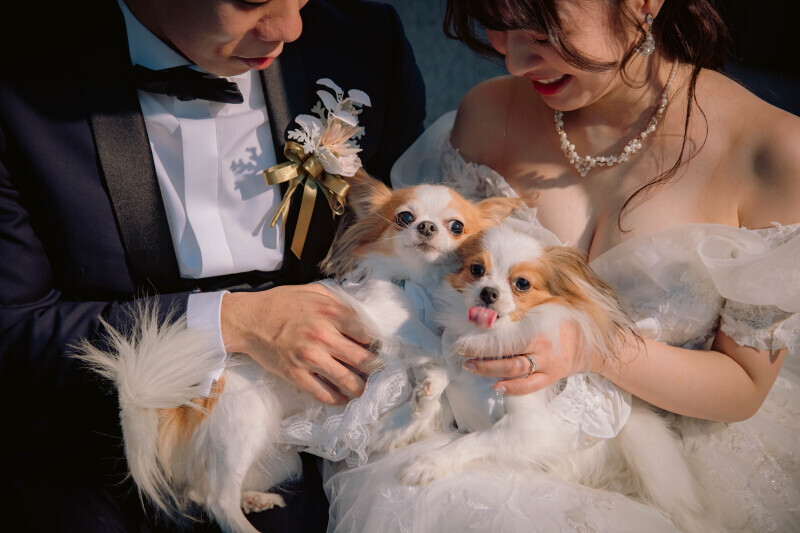 ペットとの撮影も可能です！イメージ通りの仕上がり◎_31684_投稿写真_1