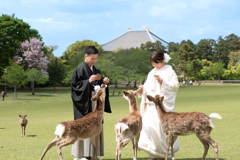 前撮り結婚式.com 縁photo _投稿写真