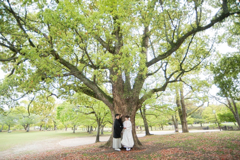 前撮り結婚式.com 縁photo _投稿写真