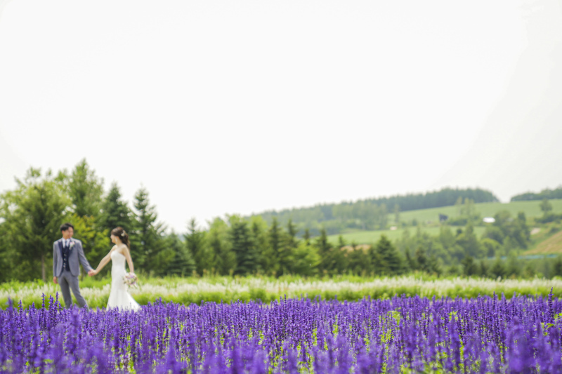 夏の北海道★大自然の中でのロケーション撮影_31786_投稿写真_1
