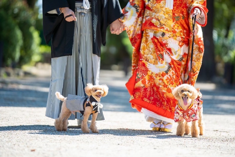 サンライズ・デジタル_投稿写真