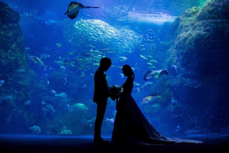 KANON wedding_投稿写真