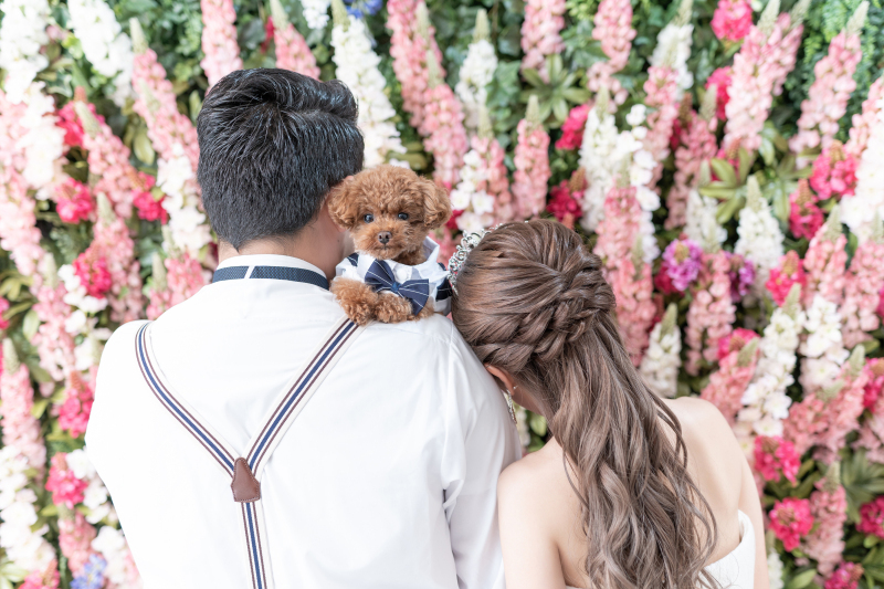 Dears Pictures CHIBA (ディアーズ・ピクチャーズ千葉)_投稿写真