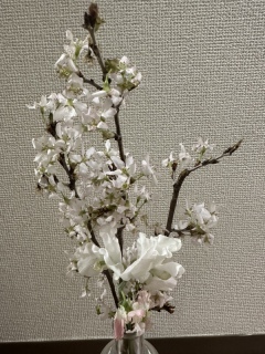 STUDIO AQUA 横浜みなとみらい店（スタジオAQUA）_アドバイス写真