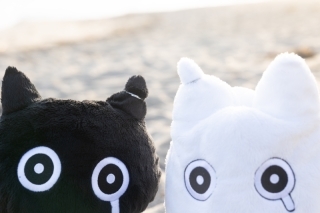 STUDIO AQUA 横浜みなとみらい店（スタジオAQUA）_アドバイス写真