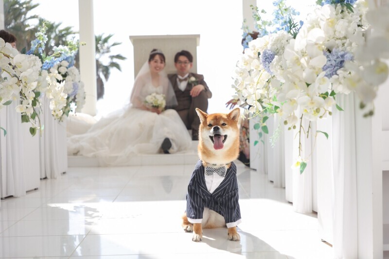 家族、ペットと撮影可能！スタッフの対応もバッチリです！_32191_投稿写真_2