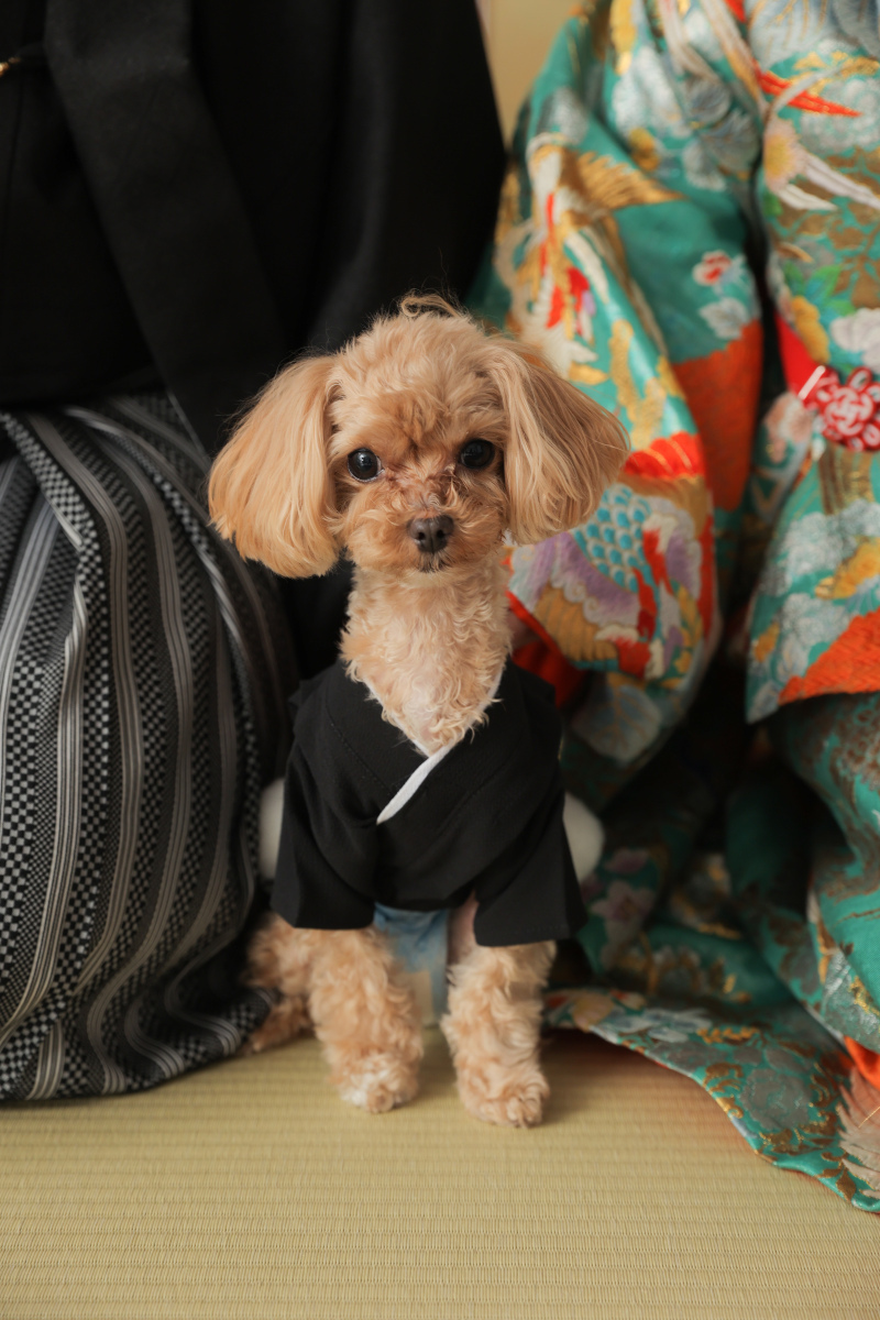 STUDIO TVB 梅田店（スタジオTVB）_投稿写真