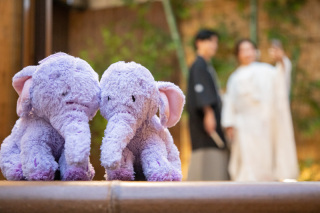 Sereno邸 photo&movie白金_アドバイス写真