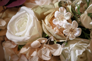 写真だけの結婚式　ecoo（エクー）_アドバイス写真