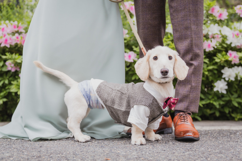 Creators'Genic_投稿写真