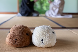 ストーリーテラー　京都サロン_アドバイス写真