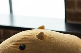 STUDIO TVB 梅田店（スタジオTVB）_アドバイス写真