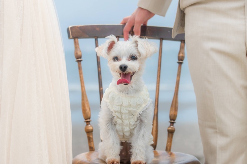 KANON wedding_投稿写真