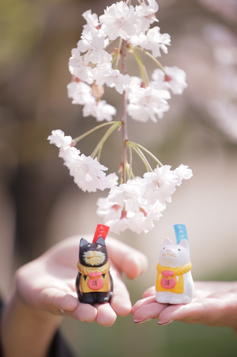 STUDIO TVB 梅田店（スタジオTVB）_投稿写真