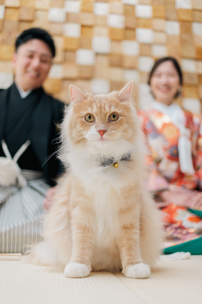 Rita closet・Rita Photo_投稿写真