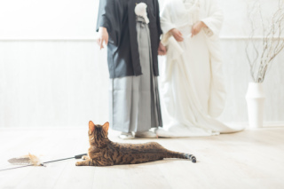 ラヴィファクトリー 金沢店_アドバイス写真