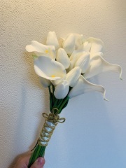 華雅苑 銀座店_アドバイス写真