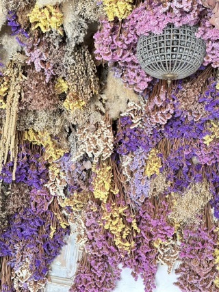 こぶたしゃしんかん_アドバイス写真