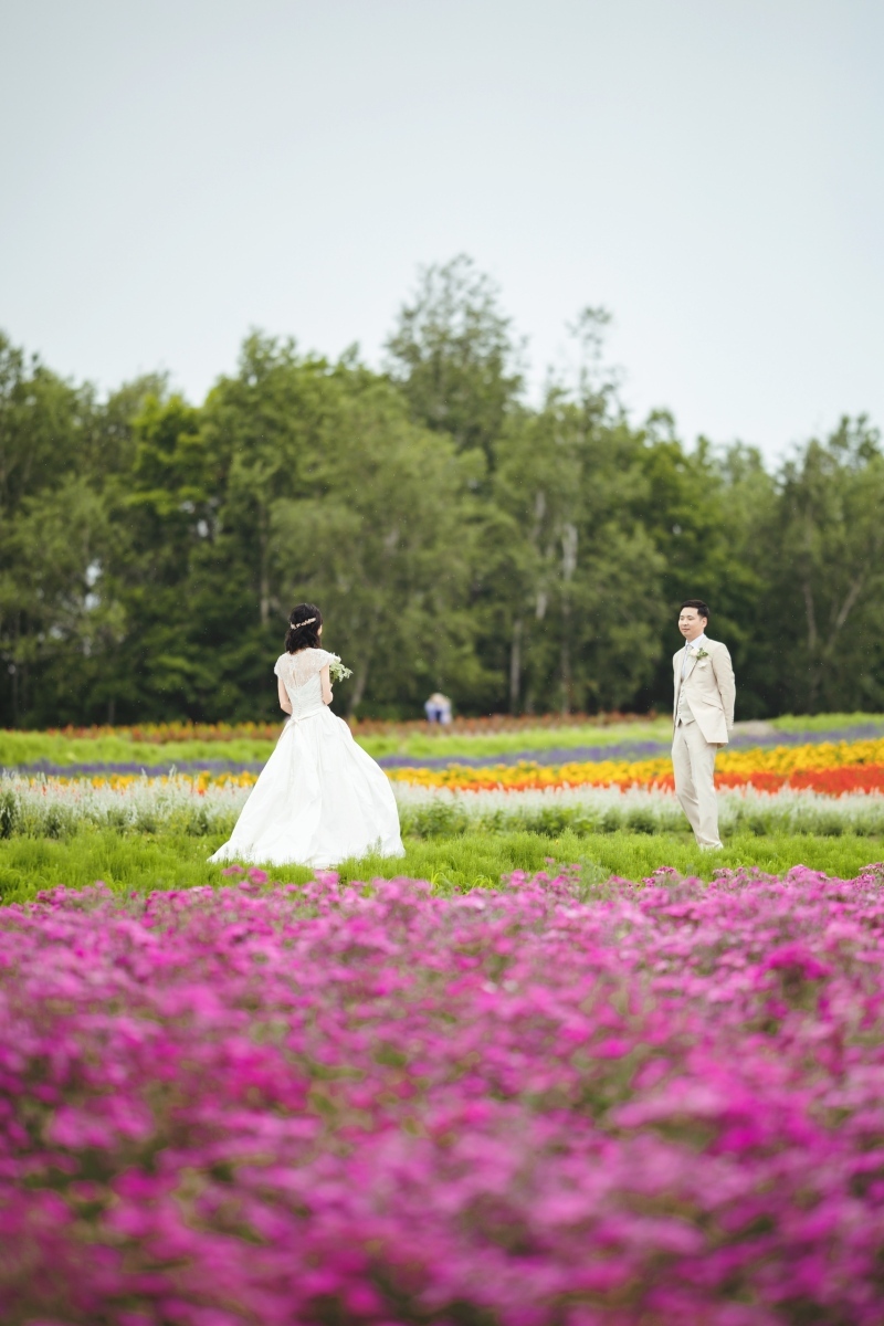 丘のうえ（Hills Studio）_投稿写真